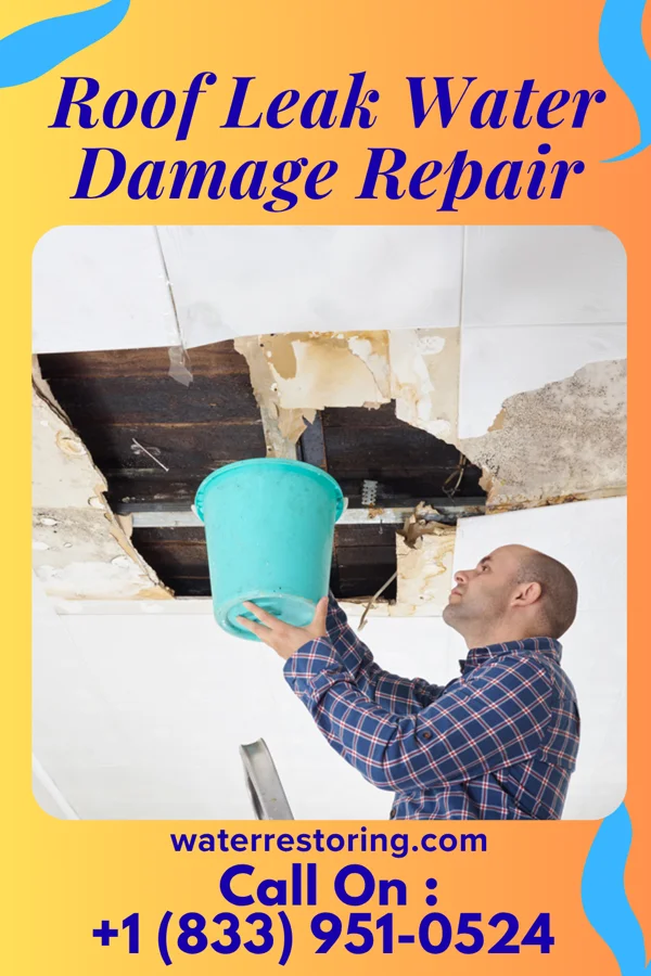 Roof Leak Water Damage Repair in Pearsall, TX